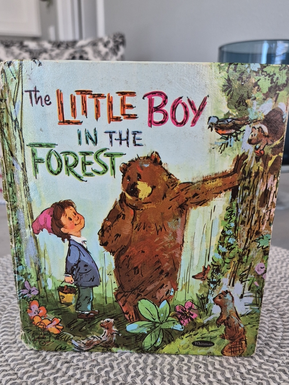 Vintage 1969 children's book titled The Little Boy in the Forest